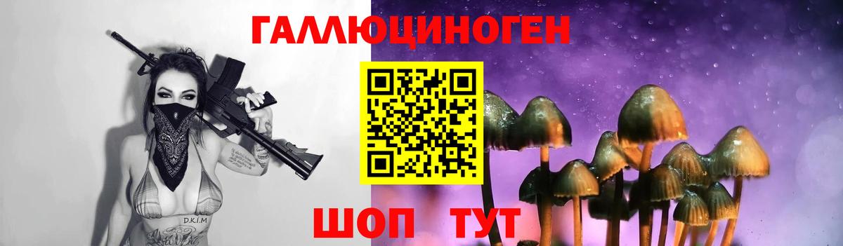 Псилоцибиновые грибы Psilocybine cubensis Надым